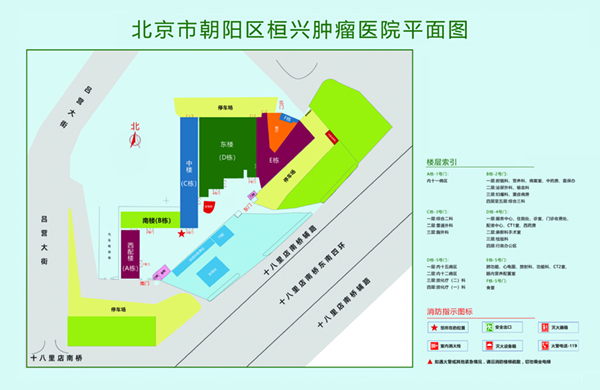 被操逼爽爽爽视频北京市朝阳区桓兴肿瘤医院平面图